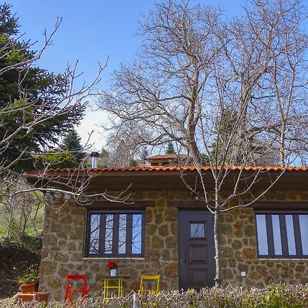 Γήλοφος Vila Ano Trikala Exterior foto