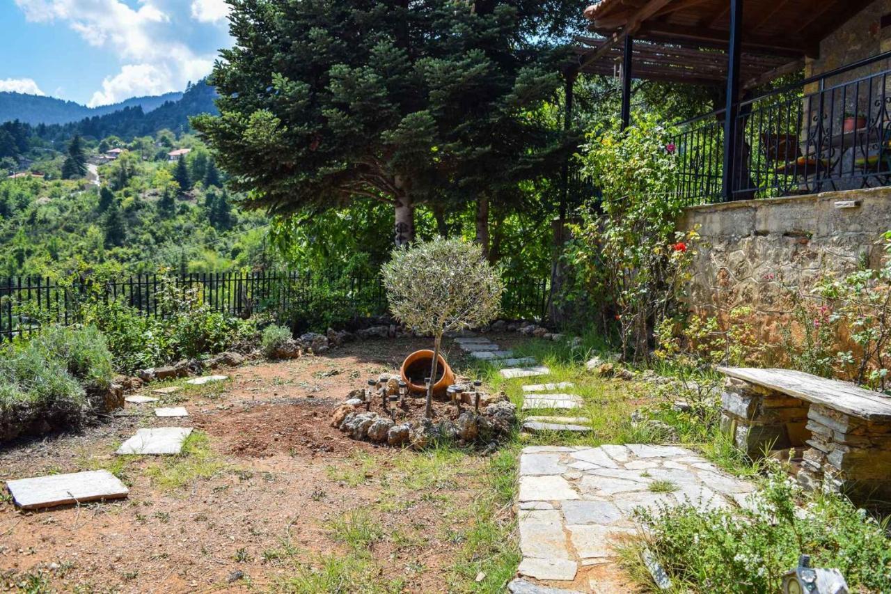 Γήλοφος Vila Ano Trikala Exterior foto